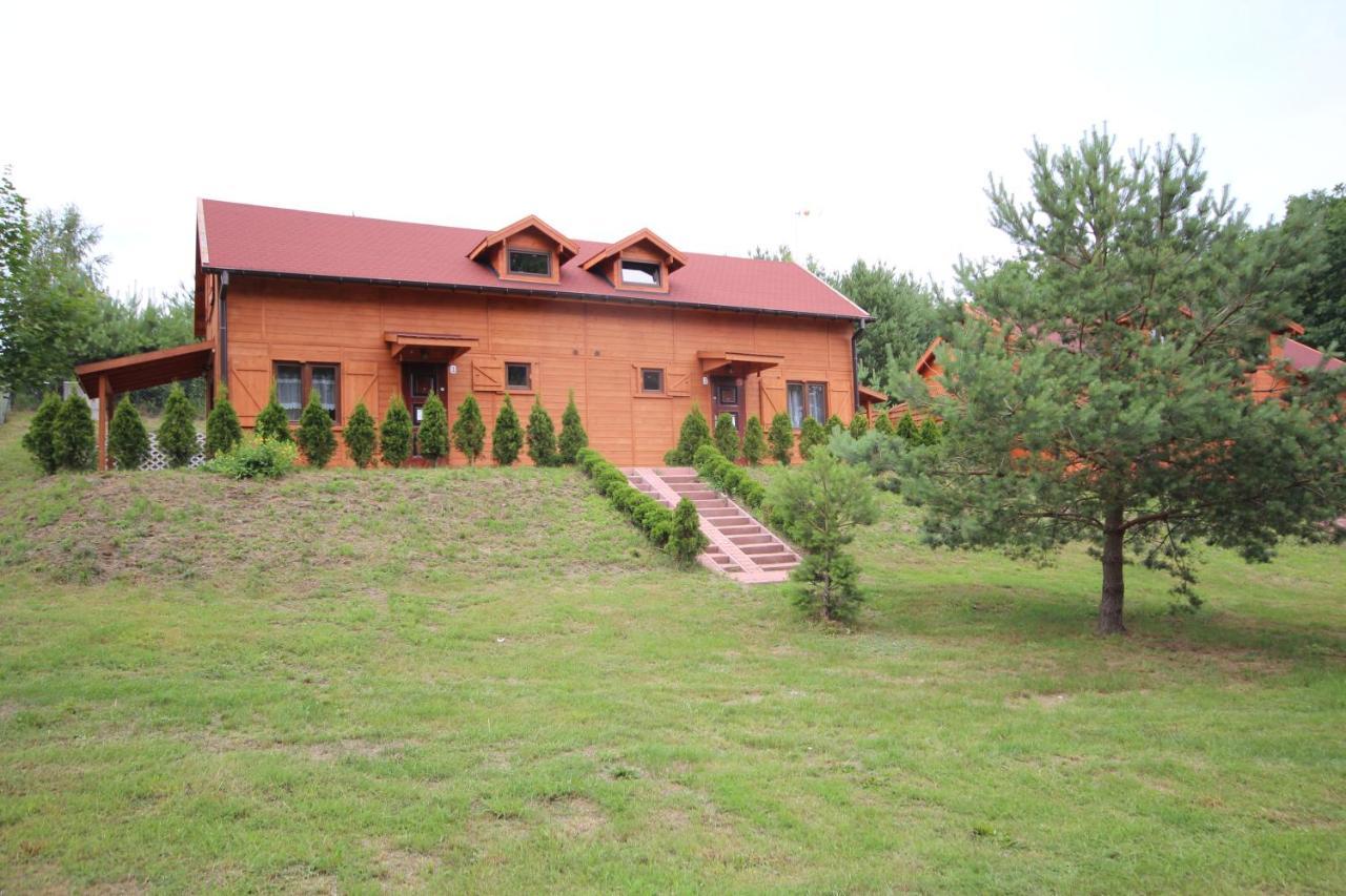 Domki Debina Villa Debina  Bagian luar foto
