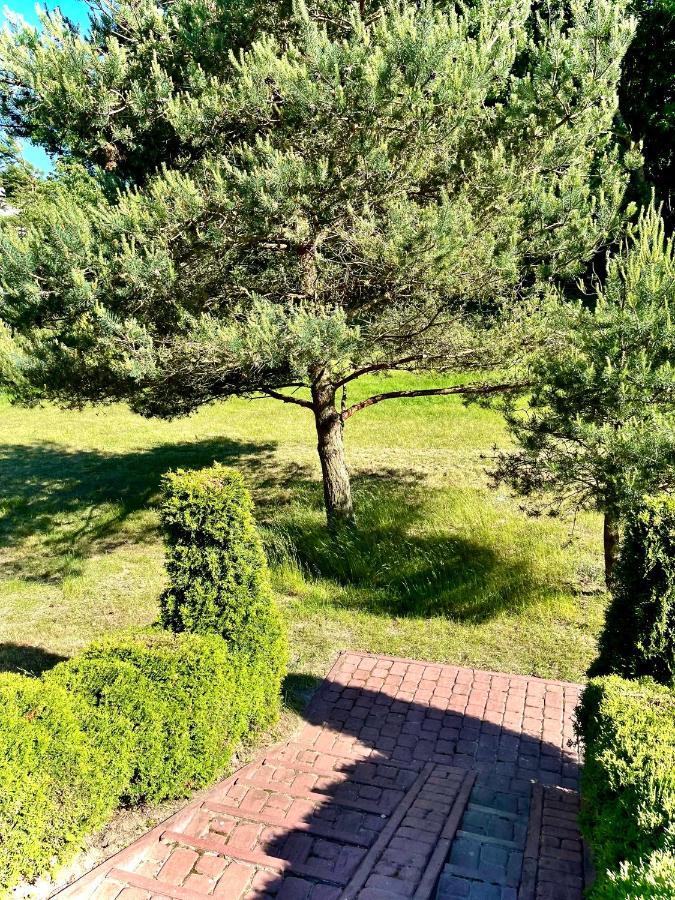 Domki Debina Villa Debina  Bagian luar foto